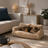 Chat allongé sur un canapé pour chat en tissu bouclette beige, couchage moelleux et confortable dans un salon chaleureux.