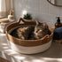 Chat tigré installé dans une corbeille osier pour chat imitation osier beige et blanc, dans une salle de bain lumineuse et cosy.