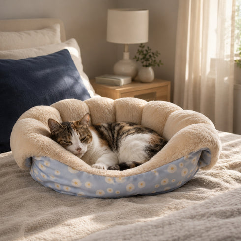 Chat tigré et blanc couché dans un coussin anti-stress bleu à motifs floraux avec rebords moelleux, posé sur un lit dans une chambre chaleureuse et lumineuse.