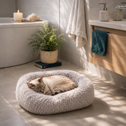 Chat clair endormi dans un coussin apaisant ultra moelleux beige, installé dans une salle de bain moderne avec lumière naturelle douce.