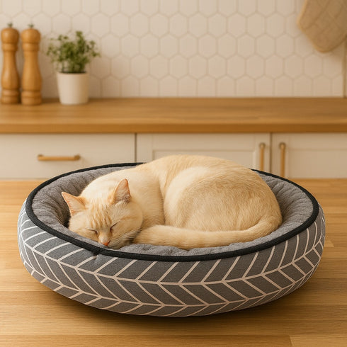 Chaton endormi dans un coussin rond gris à motifs graphiques, posé sur un plan de travail de cuisine.