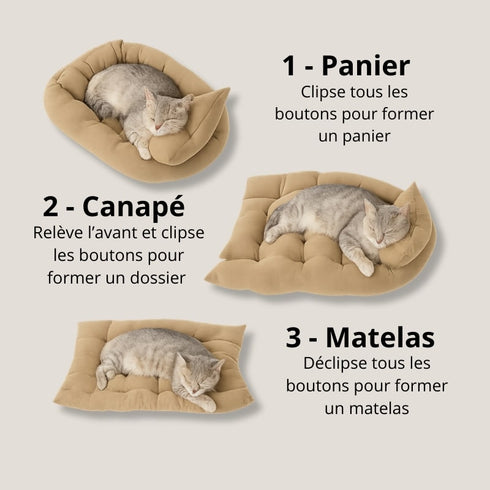 Démonstration du coussin moelleux pour chat beige en version panier, canapé et matelas, avec un chat gris endormi sur chaque configuration.