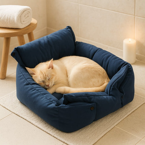 Chat endormi dans un coussin moelleux bleu, posé sur un tapis dans une salle de bain au style cosy.