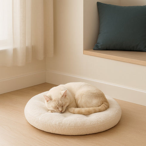 Chat crème endormi sur un coussin rond en polaire écru, posé au sol dans un intérieur lumineux et minimaliste.