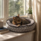 Chat tigré installé dans un coussin pour chaton gris à motifs géométriques, posé près d’une fenêtre lumineuse avec intérieur moelleux et confortable.
