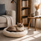 Chat aux yeux bleus installé dans un coussin pour panier beige ultra moelleux, posé dans un salon cosy et lumineux avec décoration chaleureuse.