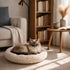 Chat aux yeux bleus installé dans un coussin pour panier beige ultra moelleux, posé dans un salon cosy et lumineux avec décoration chaleureuse.
