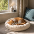 Chat roux et blanc endormi dans un coussin pour panier beige ultra doux, placé près d’une fenêtre lumineuse dans une ambiance cosy et apaisante.