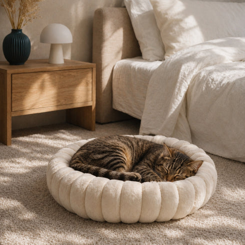 Chat tigré endormi dans un coussin rond crème ultra moelleux, posé sur un tapis dans une chambre chaleureuse et lumineuse.
