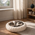 Chat blanc et tigré reposant dans un coussin rond crème moelleux, installé près d’une fenêtre dans un intérieur chaleureux et lumineux