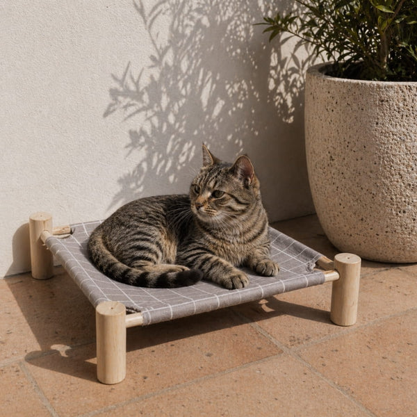Chat tigré allongé sur un hamac pour chat sur pied avec structure en bois naturel et tissu gris à carreaux dans un espace lumineux et chaleureux.