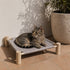 Chat tigré allongé sur un hamac pour chat sur pied avec structure en bois naturel et tissu gris à carreaux dans un espace lumineux et chaleureux.