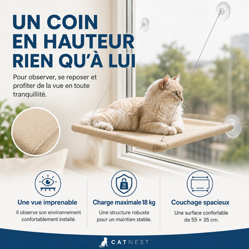 Hamac de fenêtre pour chat beige fixé par ventouses, offrant un couchage suspendu spacieux avec vue panoramique et une charge maximale de 18 kg.