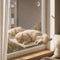 Chat crème endormi sur un hamac de fenêtre pour chat beige fixé par ventouses, suspendu devant une grande fenêtre dans une ambiance douce et lumineuse.