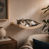 Chat allongé dans un hamac mural pour chat en bois clair et tissu beige, idéal pour créer un espace repos élégant et confortable.