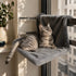 Chat gris installé sur un hamac de radiateur pour chat en peluche grise, idéal pour se reposer au chaud près de la fenêtre.