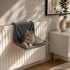Chat gris installé dans un hamac de radiateur pour chat en peluche grise, parfait pour profiter d’un couchage chaud et confortable.