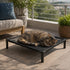 Lit sur pied pour chat en maille noire avec chat allongé sur une terrasse extérieure ensoleillée au style moderne et épuré