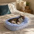 Chat allongé dans un lit pour chaton bleu à carreaux avec rebords moelleux et finition à volants sur un lit cosy.