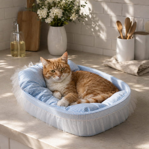 Chaton roux installé dans un lit pour chaton bleu à carreaux avec coussin moelleux et finition à volants dans une cuisine lumineuse.