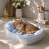 Chaton roux installé dans un lit pour chaton bleu à carreaux avec coussin moelleux et finition à volants dans une cuisine lumineuse.