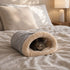Chat tigré allongé dans un lit tunnel douillet gris avec intérieur en peluche beige, posé sur un lit dans une chambre chaleureuse et apaisante.