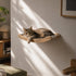 Lit mural pour chat en bois naturel avec toile beige, installé dans un intérieur lumineux, avec un chat allongé confortablement.