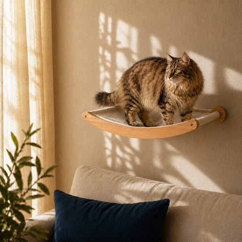 Lit mural pour chat en bois naturel et toile beige, fixé au mur dans un salon lumineux, avec un grand chat debout sur le couchage.