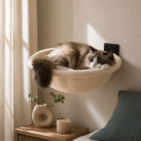 Chat allongé dans un lit mural pour chat suspendu avec coussin moelleux crème fixé au mur dans une chambre chaleureuse et lumineuse.