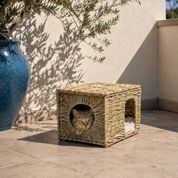 Petite niche pour chat rectangulaire en osier beige avec ouverture ronde, posée sur une terrasse extérieure avec un chat à l’intérieur