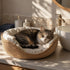 Chat tigré allongé dans une niche en osier pour chat en imitation osier avec coussin blanc moelleux, posée sur un plan de salle de bain lumineux et chaleureux.