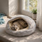 Chat allongé dans un nid moelleux gris clair en fausse fourrure, placé près d’une fenêtre lumineuse dans un intérieur cosy et apaisant.