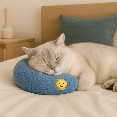 Chat crème dormant sur un oreiller bleu pour chat, posé sur un lit dans une chambre cocooning aux tons bois et beige.