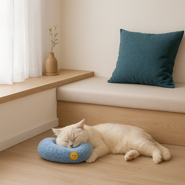 Chat crème endormi sur un oreiller bleu pour chat, dans une ambiance de salon cocooning aux tons bois et beige.