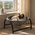 Chat installe dans un panier chat design gris avec structure noire en metal, place pres dune fenetre dans un interieur lumineux et cosy
