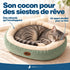 Panier douillet pour chat vert et écru avec un chat tigré endormi, montrant ses rebords enveloppants et son appui moelleux pour la tête.