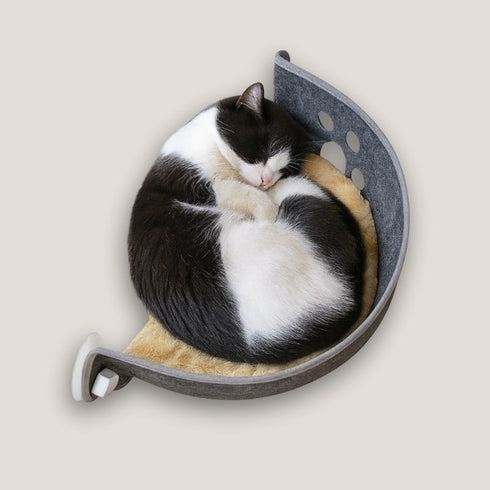 Vue de dessus d’un panier de fenêtre pour chat en tissu feutré gris, avec motif patte ajourée, accueillant un chat noir et blanc recroquevillé.