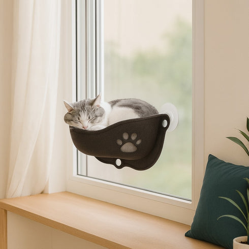 Panier de fenêtre pour chat en tissu feutré gris foncé, fixé par ventouses sur une vitre, avec motif patte ajouré et un chat gris reposant à l’intérieur prés d'un coussin bleu.