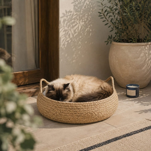 Chat à poils longs reposant dans un panier à chat imitation osier beige, installé près d’une baie vitrée sur une terrasse.