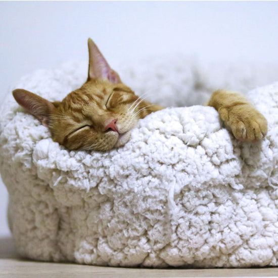 Chat roux endormi dans un panier pour chat en peluche beige, blotti contre son rebord moelleux pour un repos confortable - mobile