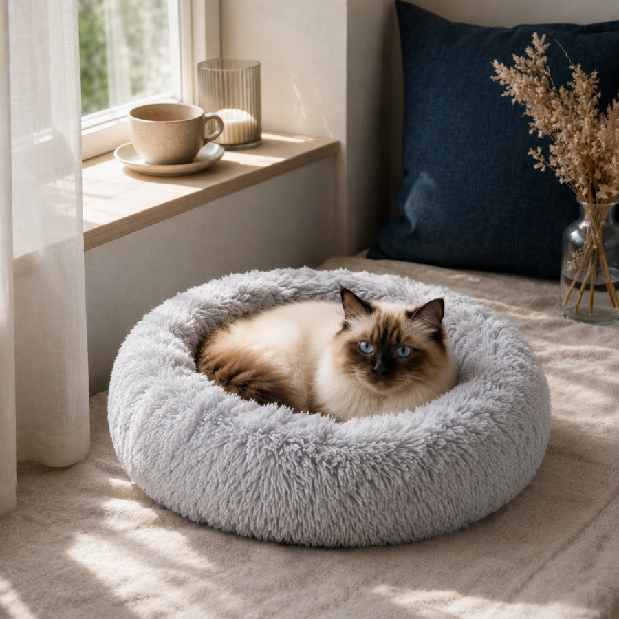 Chat aux yeux bleus allongé dans un panier rond blanc en peluche douce, installé près d’une fenêtre dans une ambiance cosy et apaisante.