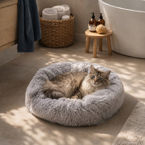 Chat aux yeux bleus allongé dans un panier rond gris en peluche moelleuse, installé dans une pièce lumineuse et chaleureuse.
