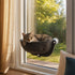 Chat tigré allongé dans un panier de fenêtre noir pour chat fixé à la vitre avec ventouses.