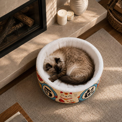 Chat dort dans un panier ferme pour chat avec interieur en peluche blanche et motifs decoratifs, place pres dune cheminee dans un salon chaleureux