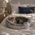 Panier rond pour chat gris en tissu peluche avec chat tigré allongé sur un lit dans une chambre chaleureuse et relaxante.
