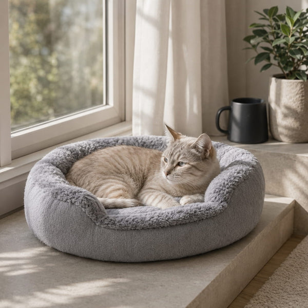 Panier rond pour chat gris en peluche douce avec chat allongé près d’une fenêtre lumineuse dans une ambiance calme et chaleureuse.