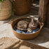 Chat tigré allongé dans un panier rond osier chat imitation osier avec coussin bleu, dans une ambiance chaleureuse et naturelle.