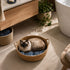 Chat à poils longs installé dans un panier rond osier chat imitation osier avec coussin bleu, dans une salle de bain lumineuse et zen.