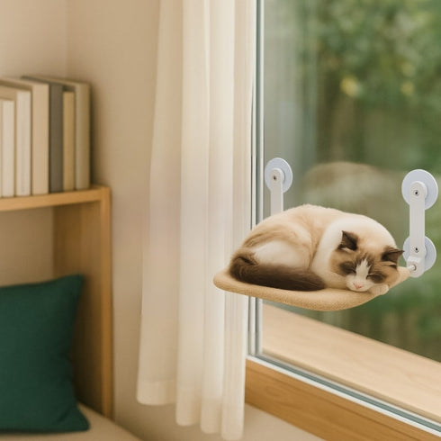 Perchoir pour chat fixé à la fenêtre, en tissu beige, installé prés d'un coin lecture avec étagère et coussin, chat bicolore endormi.