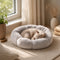Chat beige endormi dans un petit coussin gris ultra moelleux, installé près d’une fenêtre dans un intérieur chaleureux et lumineux.